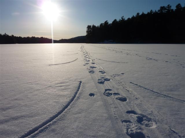 Foot Prints on Johnny