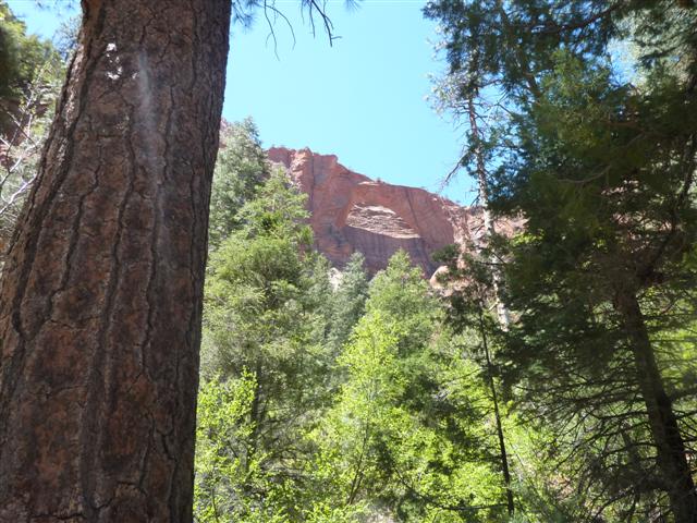 Kolob Arch