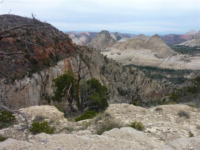 West Rim View