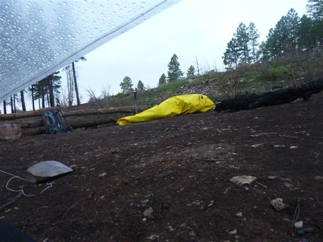 Donald in Bivy