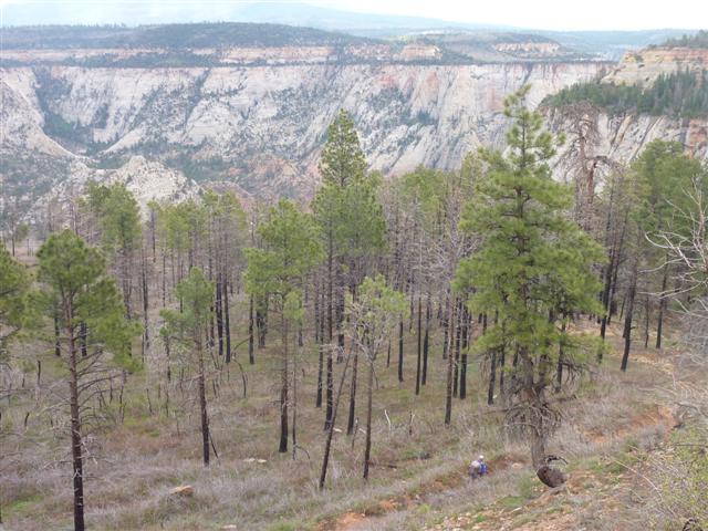 Descending into the valley