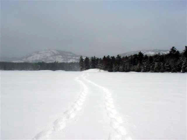 Tracks on the lake