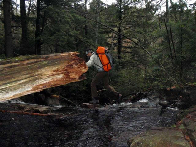 Jumping over water